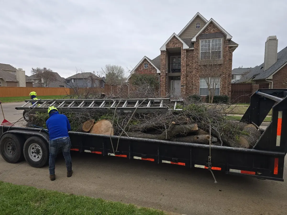 Expert Tree Fertilization with proper safety equipment in Tulsa
